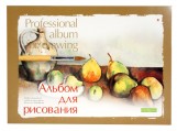 Альбом для рисования Альт ПРОФЕССИОНАЛЬНАЯ, А4, 40 листов, арт. 1-40-236