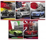 Тетрадь Хатбер COUNTRY CARS, 48 листов, клетка,  А5, арт. 48Т5В(с)1