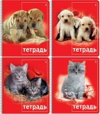 Тетрадь Альт КОШКИ.СОБАКИ, 80 листов, клетка, А5, гребень, арт. 7-80-129Д