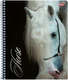 Тетрадь Хатбер HORSE, 96 листов, клетка, А5, арт. 96Т5В1сп