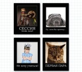 Тетрадь Архангельский ЦБК ДЕМОТИВАТОР, 48 листов, клетка, А5, арт. DK32/5