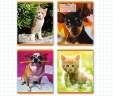 Тетрадь Архангельский ЦБК КОШКИ.СОБАКИ, 48 листов, клетка, А5, арт. DM22