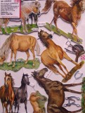 Миниатюрное изображение для скрапбукинга &quot;Лошадь&quot;24*17см.3лист. Артикул:1516013